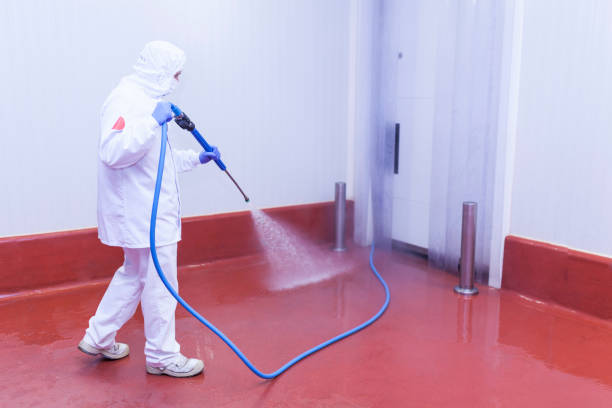 Best Driveway Pressure Washing  in Corning, CA