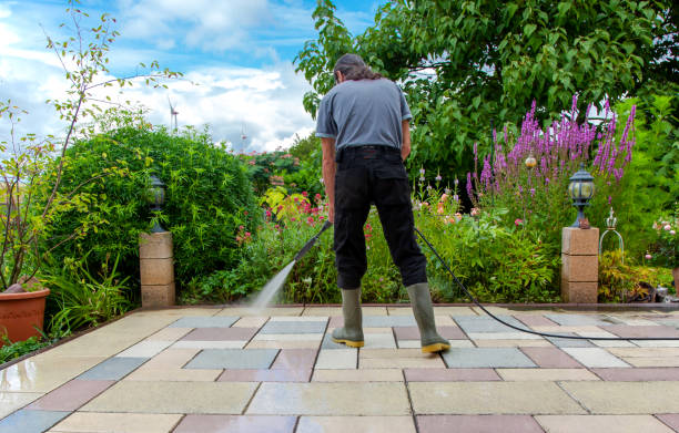Best Animal Enclosure Cleaning  in Corning, CA