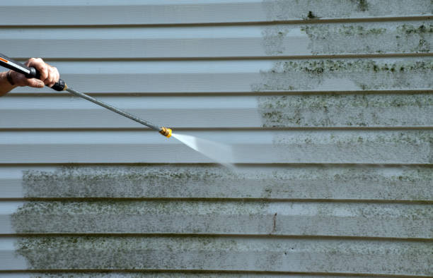 Animal Enclosure Cleaning in Corning, CA
